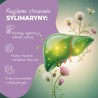 Sylimarin 70 mg - 100 tabletek