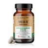 Ashwagandha KSM – 66 - 90 tabletek