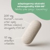 Ashwagandha KSM – 66 - 90 tabletek