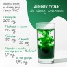 Green Energy Chlorofil - koncentrat w płynie 500 ml