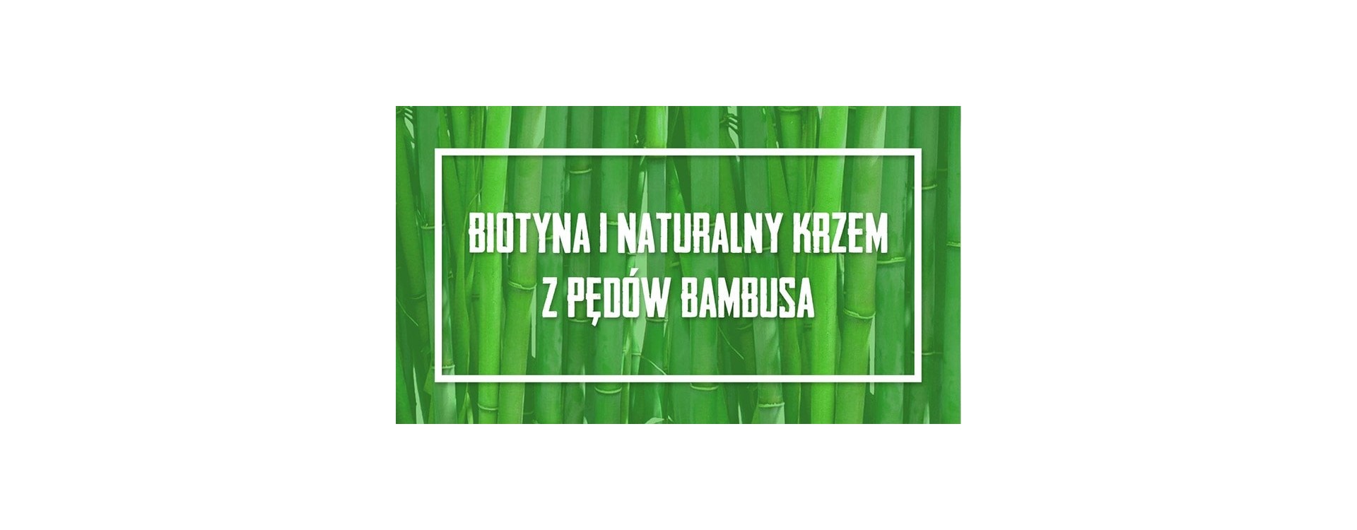 BAMBUS – niezwykła roślina