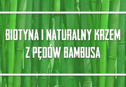BAMBUS – niezwykła roślina