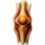 Krill stawy