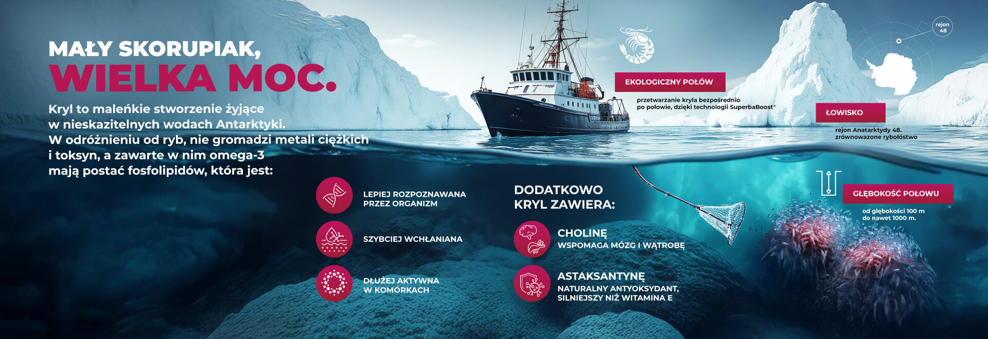 Arctic Krill Baner