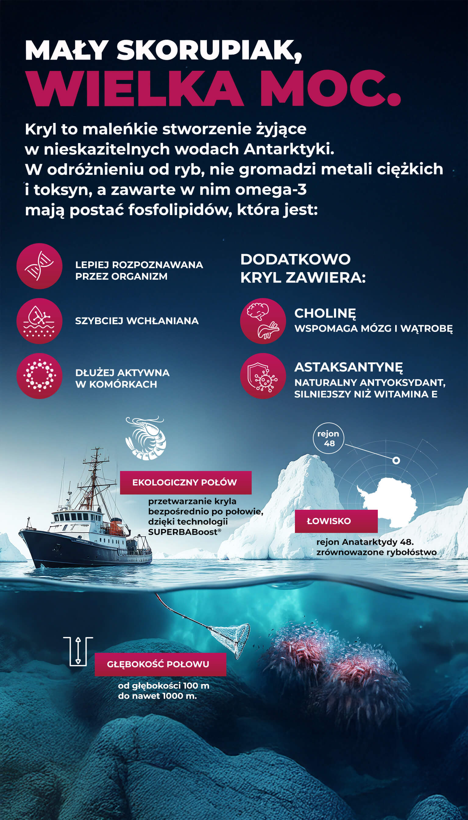 Arctic Krill Baner Mobile